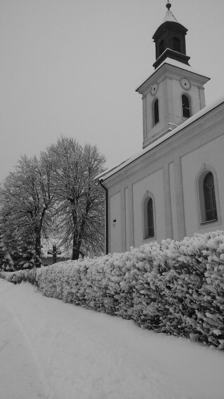 winter selection