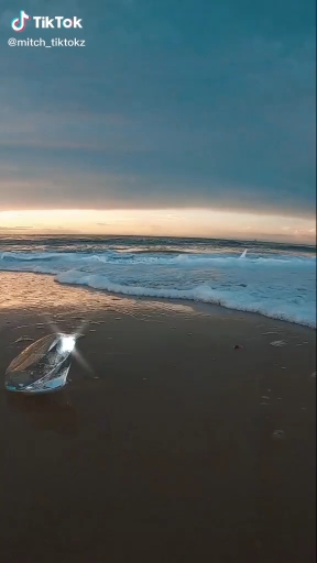 plage par mitchtiktokz