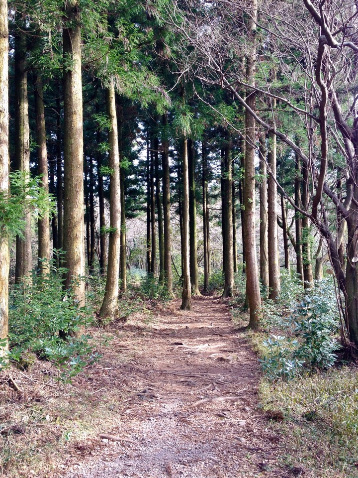 Jeju island, Korea, 2016
