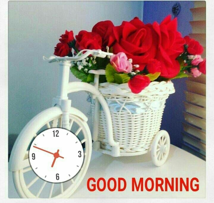 gm
