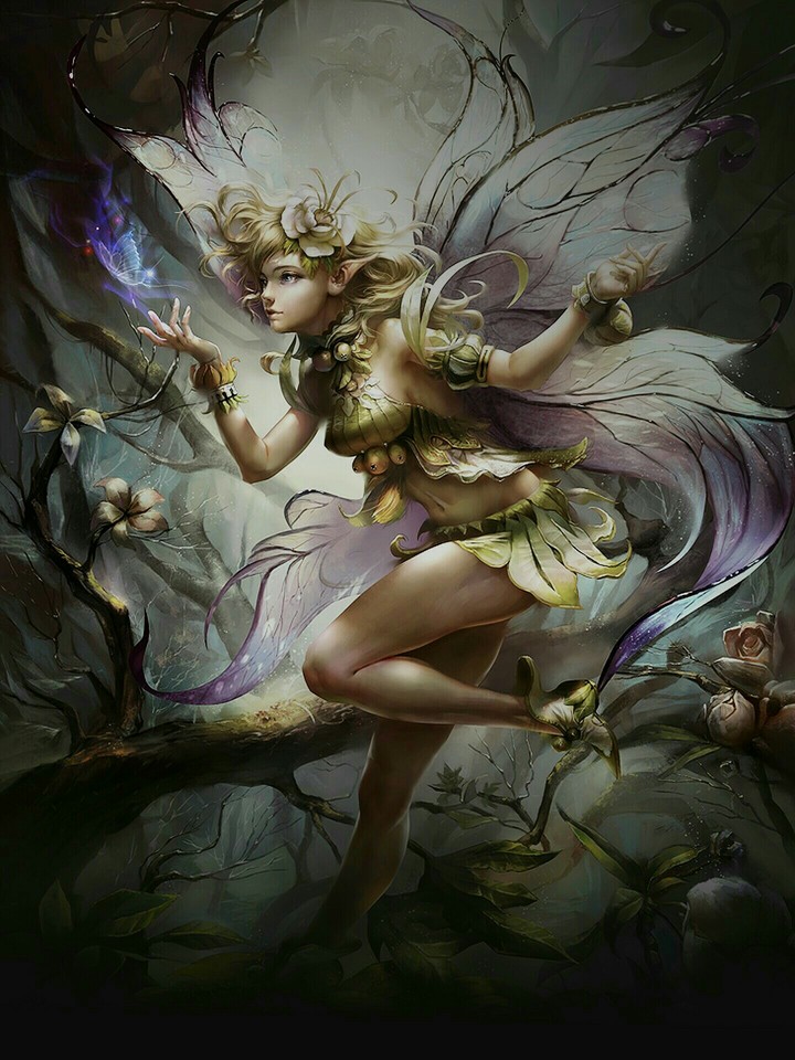 ~ Fairy ~
