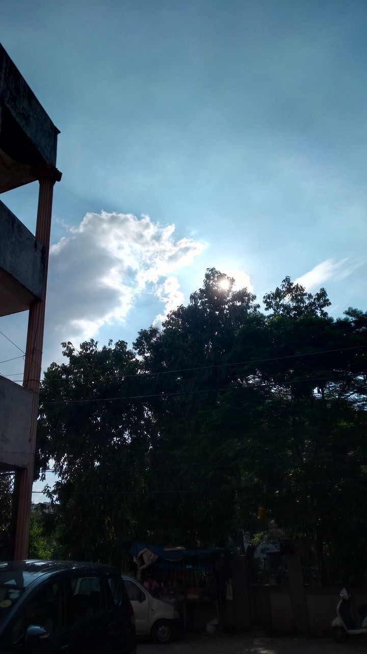 Random click of nature