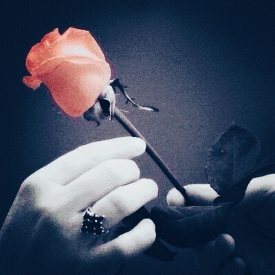my love