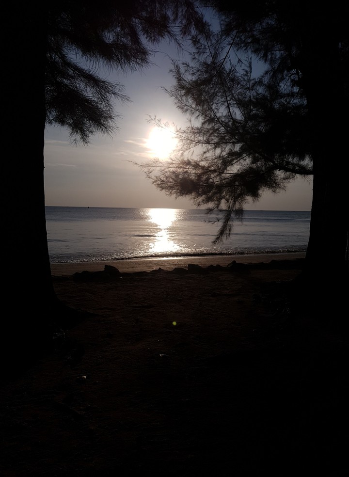 on the beach and in the sea