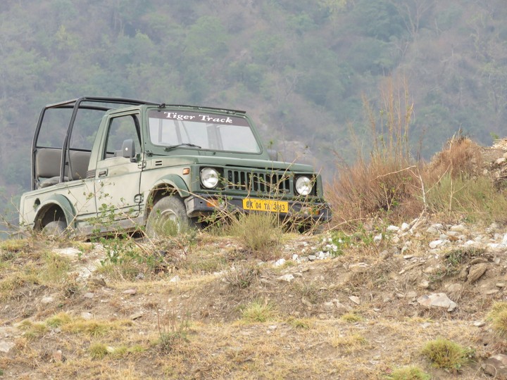 Car..jeep..jungle