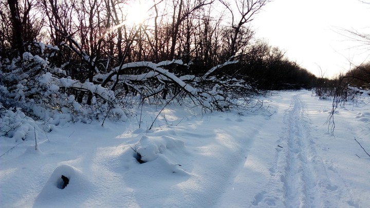 winter sport