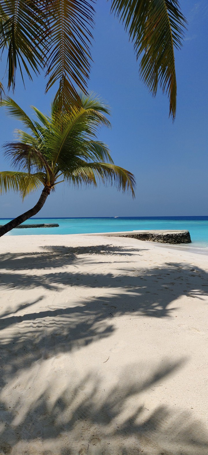 Maldive
