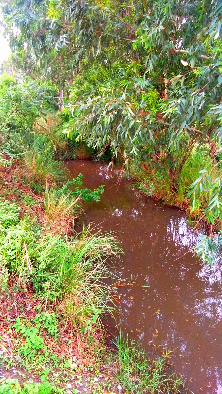 nature