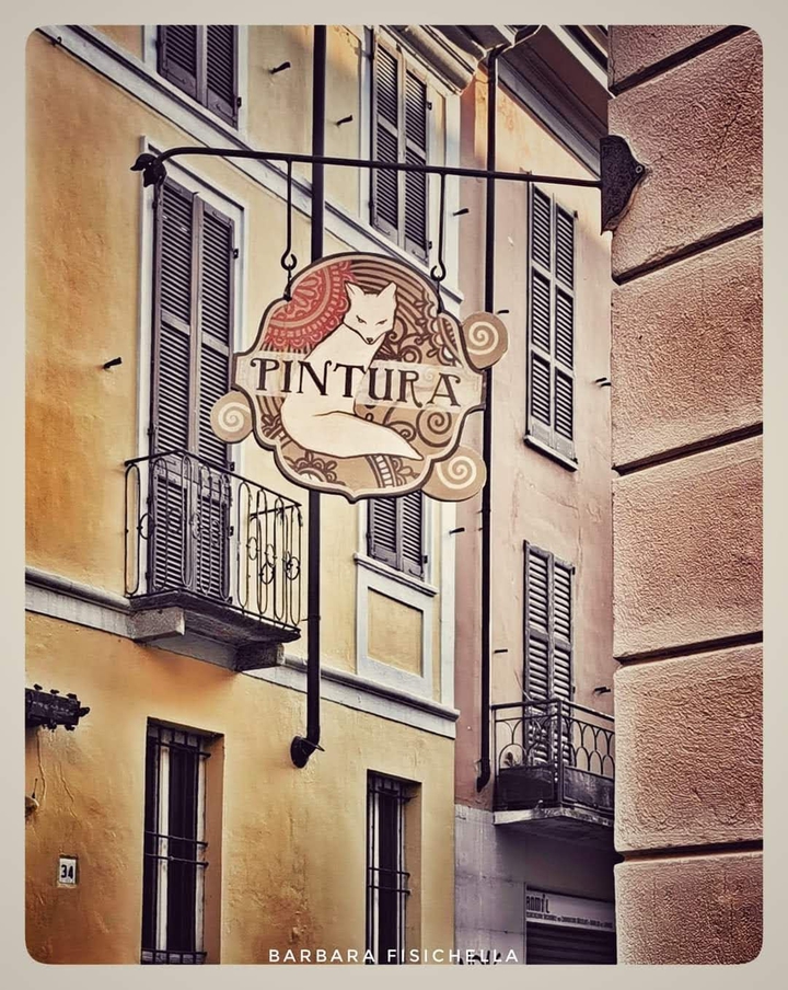 Lodi- un palazzo