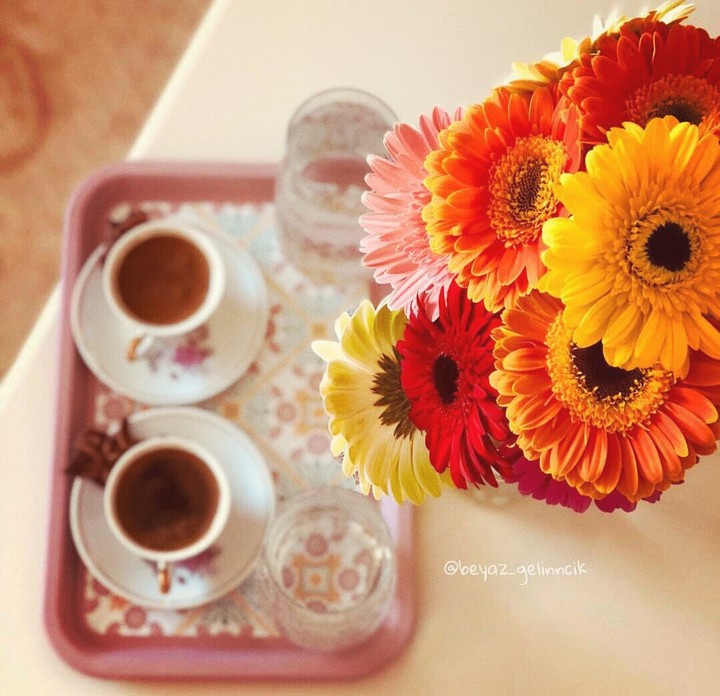 morning