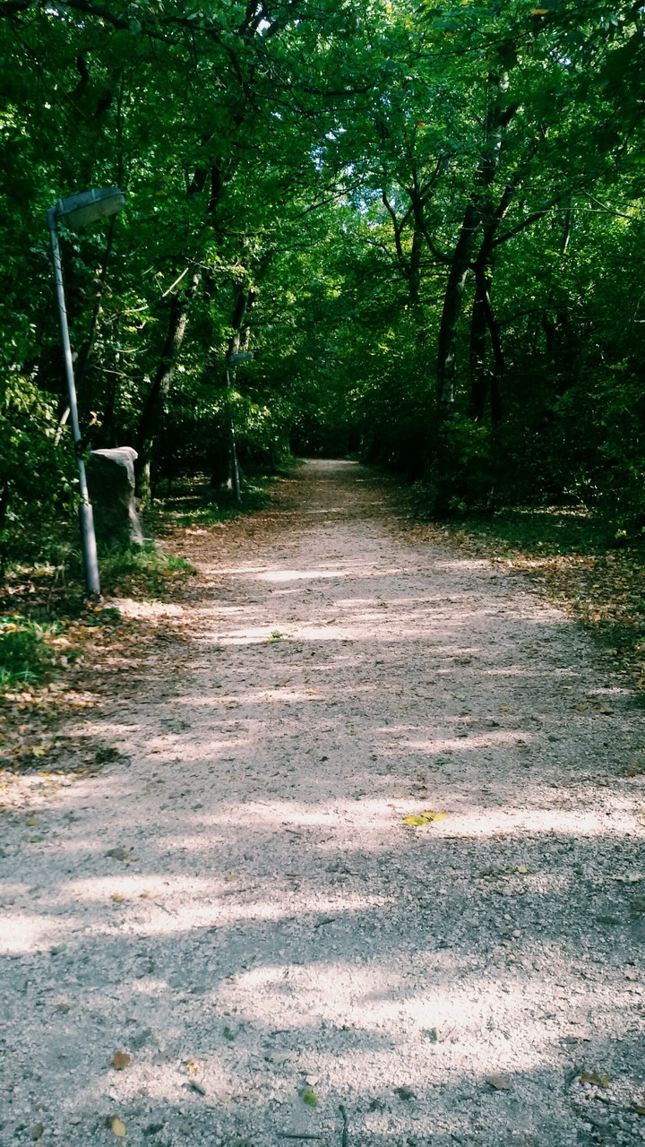 Way