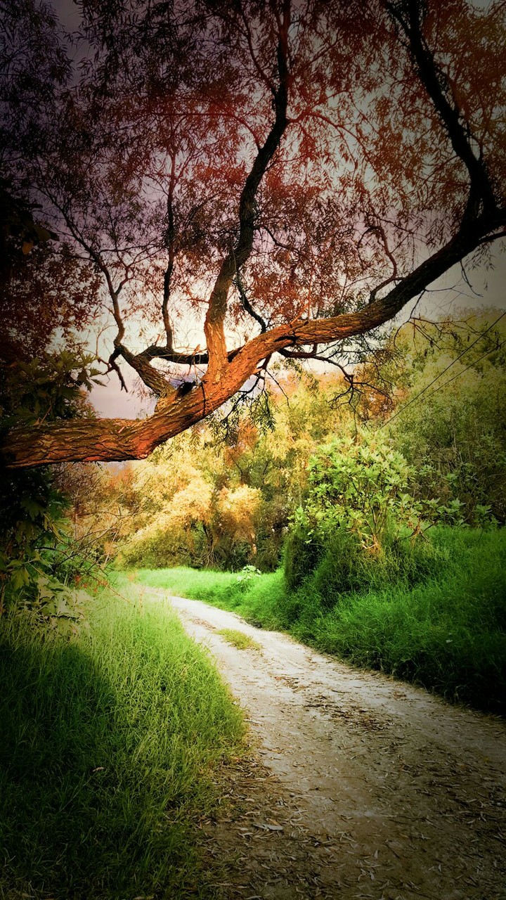 Walking