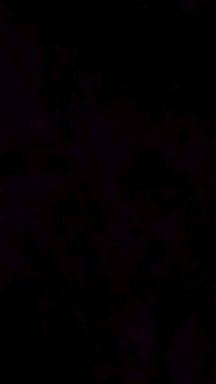 топ