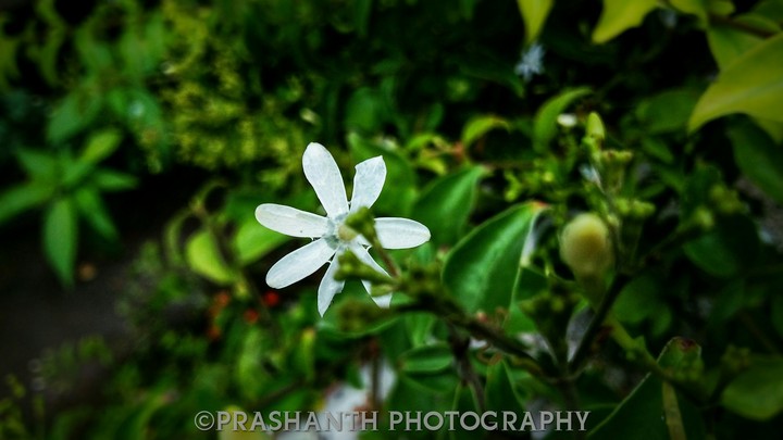 simple but beautiful..