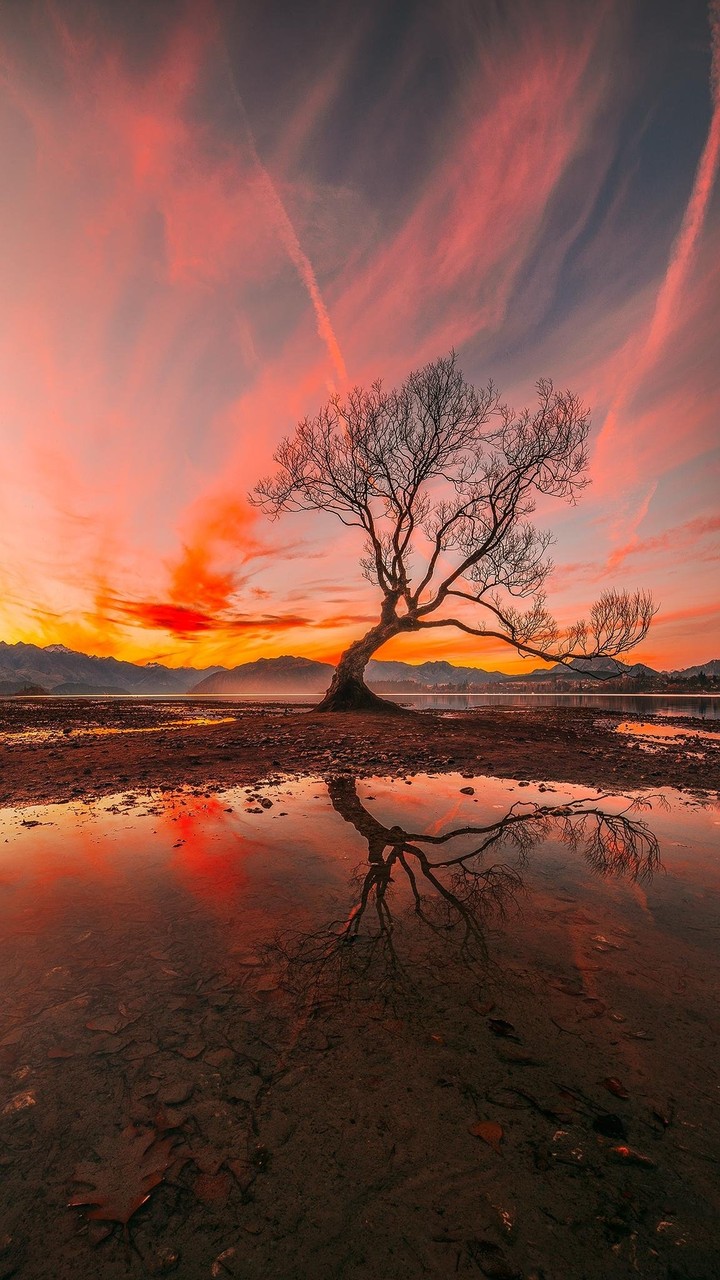 Fiery Nature