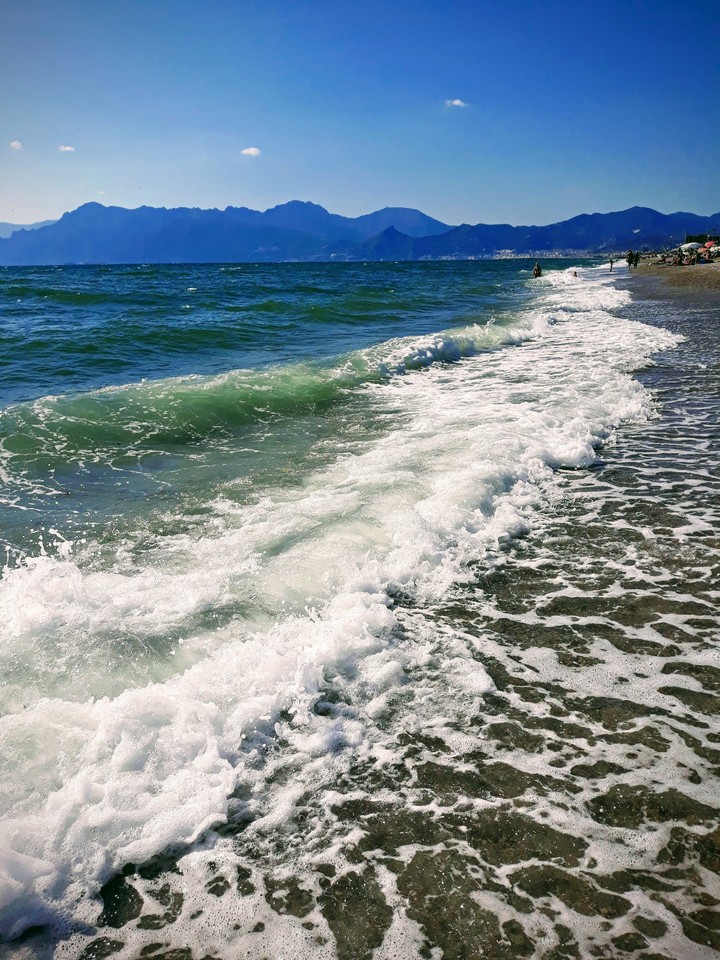 mare