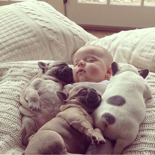 cuties