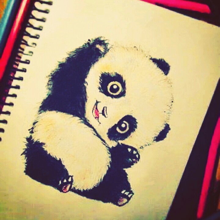 panda