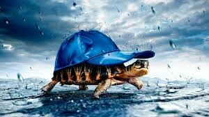 blue shell