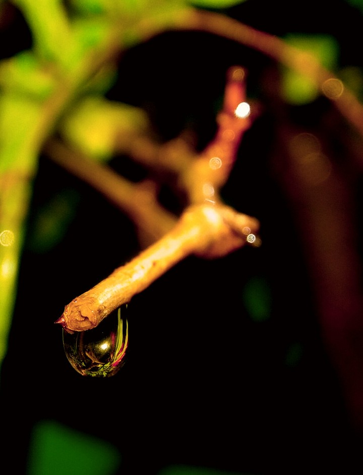 drop