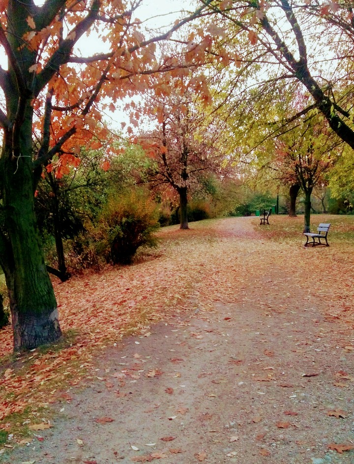 #park#jesień