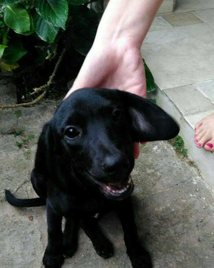 meu amor ramona!