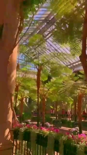 Jardín