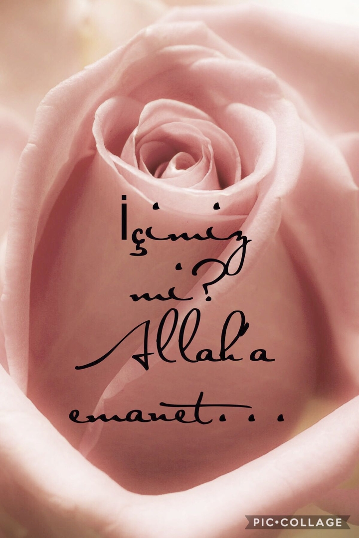 Allah‘a emanet.