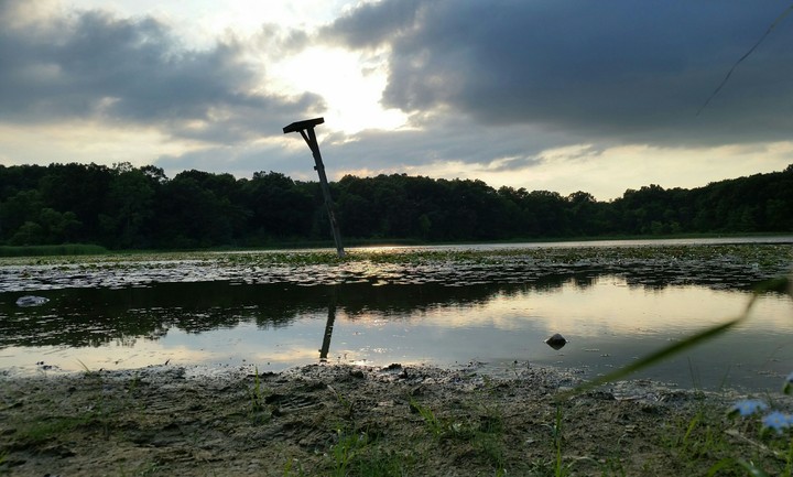 Wetland