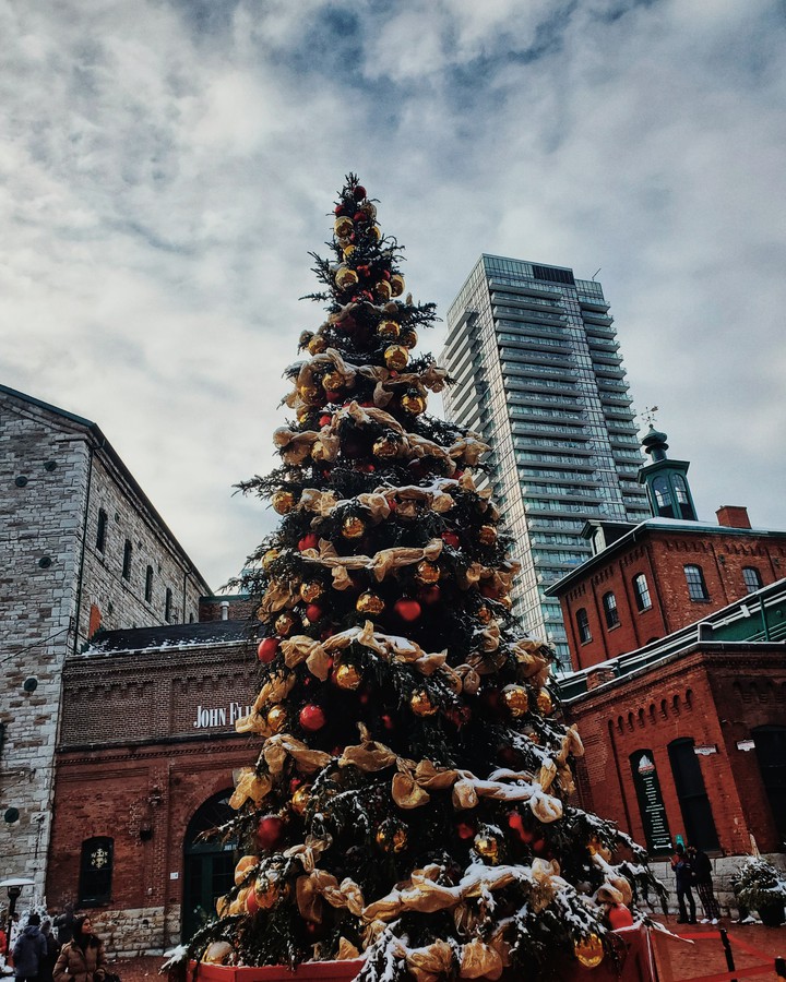 Christmas tree ?