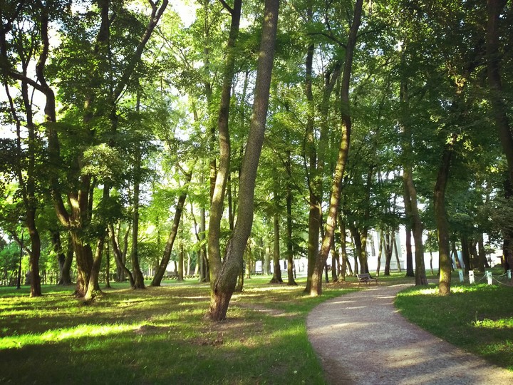 Park Kutno