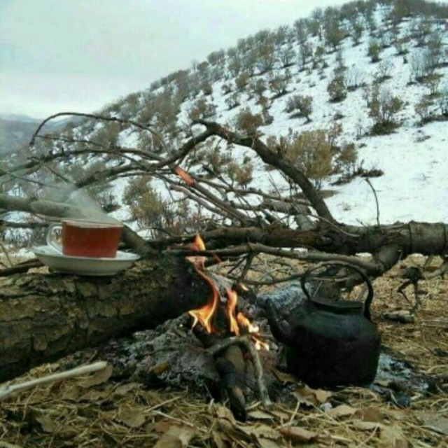 ......