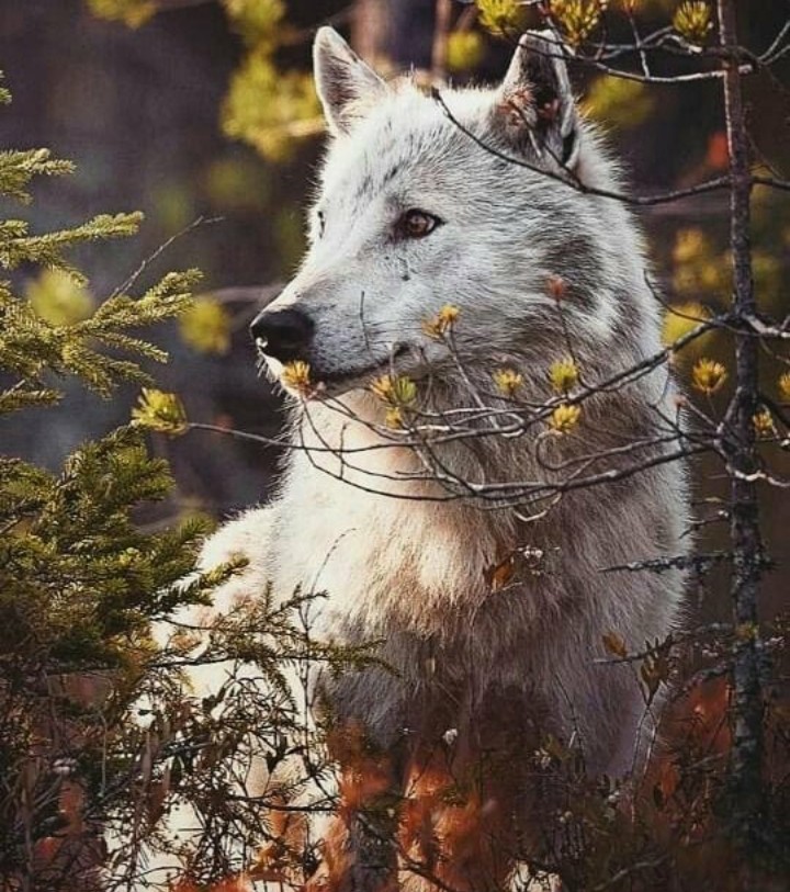 ☆₩●Łf☆