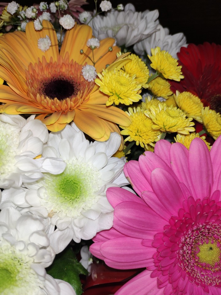 #flowers