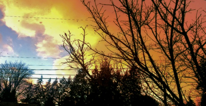 Afternoon Sun