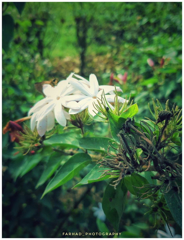 Photography