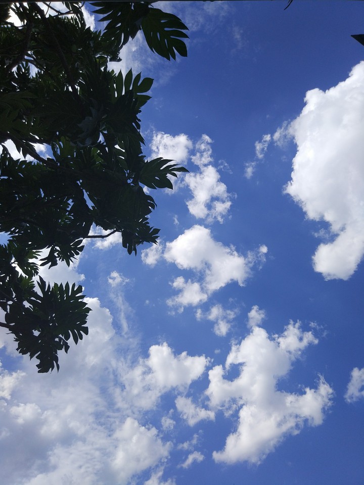 Um lindo céu