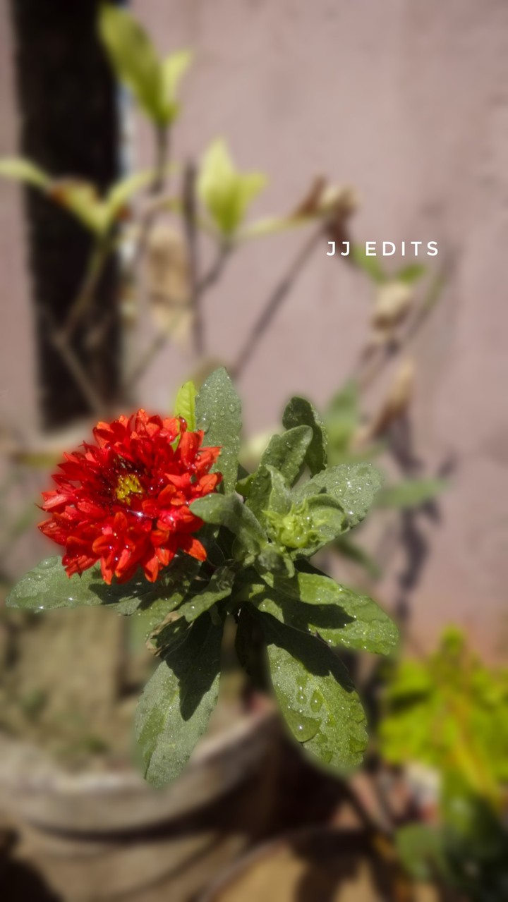 ❤Nature lover ❤
