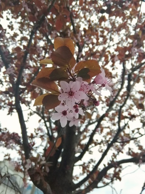 Spring vibes