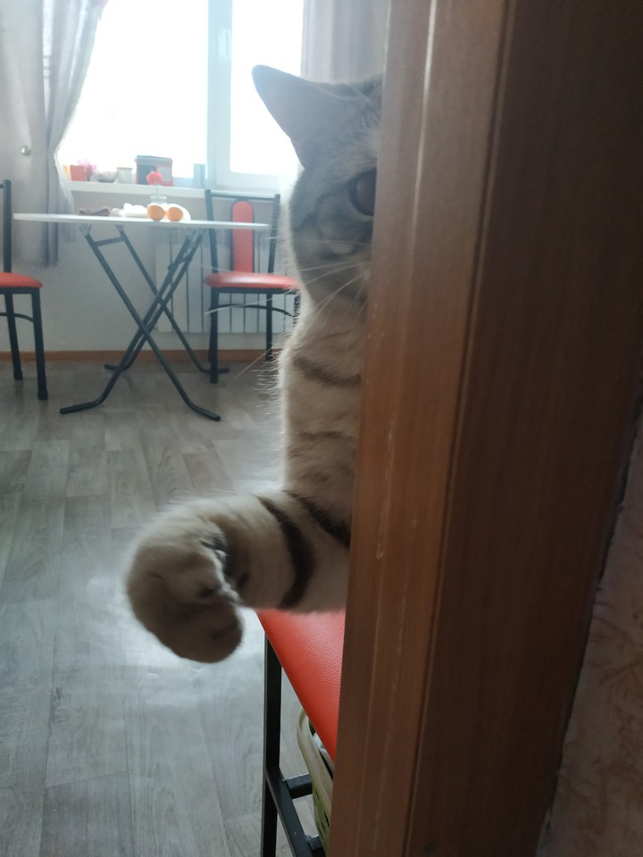Джемик