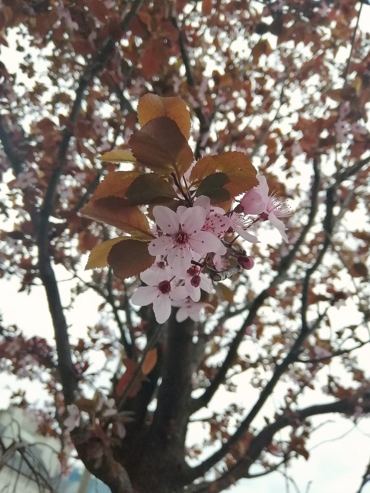 Spring vibes
