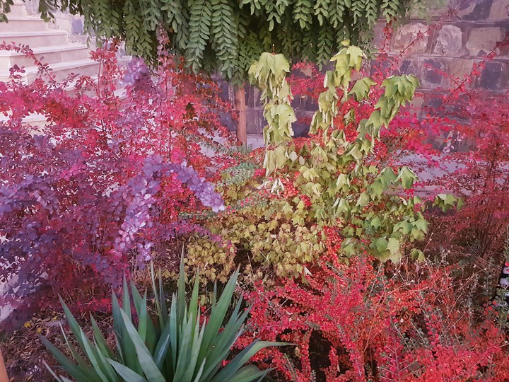 color