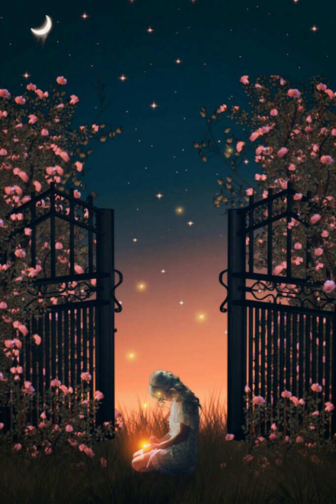 Dreams ...