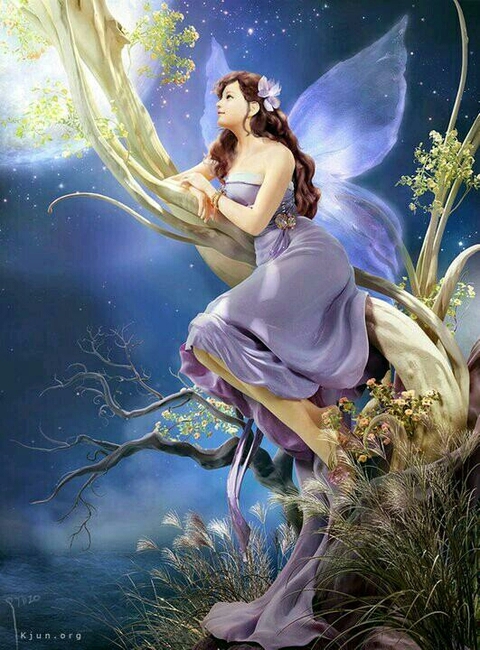 Night purple fairy