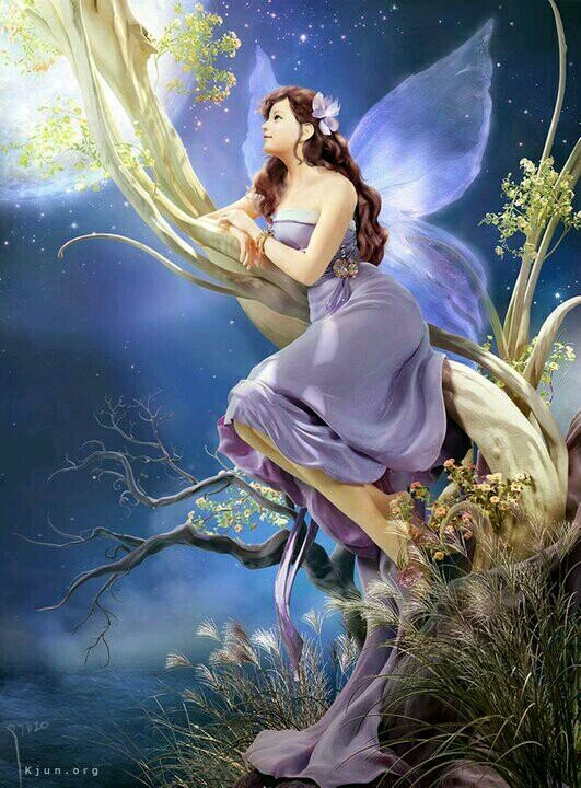 Night purple fairy