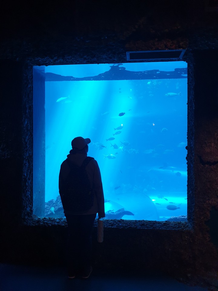 海生館