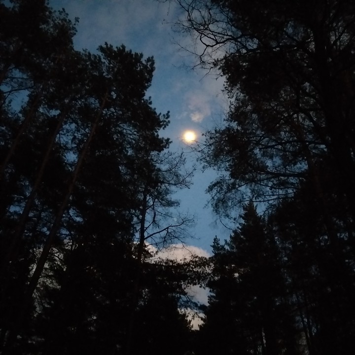 moon