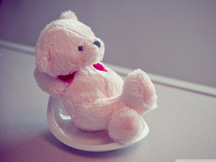 resting teddy bear
