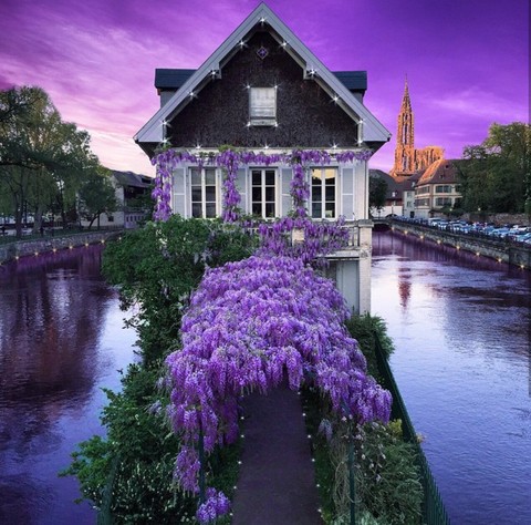 Strasbourg