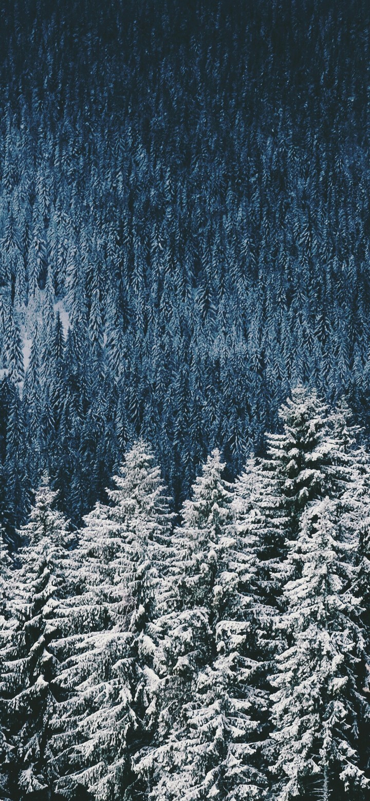 winter